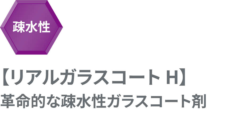 撥水性【リアルガラスコート H】深い艶感を実現した最上位モデルガラス系コート剤